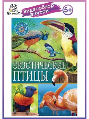 Энциклопедия АСТ Детская энциклопедия Птицы купить по цене 352 ₽ в  интернет-магазине Детский мир