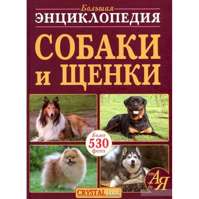 Книга Собаки, подарочная Иллюстрированная Энциклопедия - купить книги о  животных в интернет-магазинах, цены на Мегамаркет | 668222