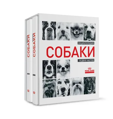 Все породы собак. Большая иллюстрированная энциклопедия Галина Сула -  купить книгу Все породы собак. Большая иллюстрированная энциклопедия в  Минске — Издательство Эксмо на OZ.by