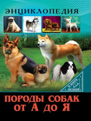 Самая лучшая иллюстрированная энциклопедия. Собаки (Ирина Барановская,  Любовь Вайткене, Анастасия Прудник) - купить книгу с доставкой в  интернет-магазине «Читай-город». ISBN: 978-5-17-154699-1