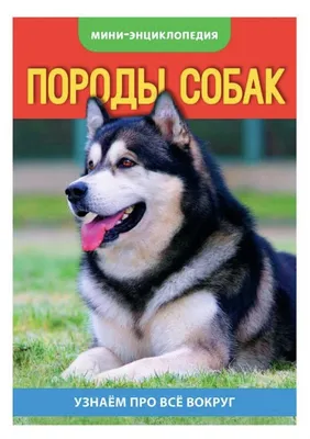 Книжка А4 32стр. \"Энциклопедия. В мире знаний. Породы собак от А до Я\" -  Элимканц