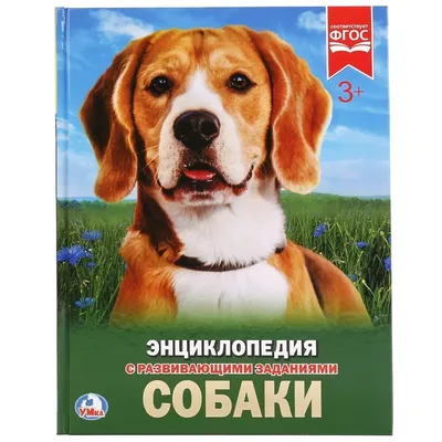 Собаки. Энциклопедия с развивающими заданиями Kids Book in Russian | eBay