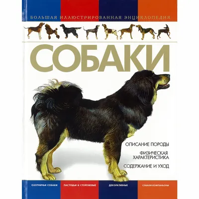 Иллюстрация 38 из 40 для Собаки. Иллюстрированная энциклопедия - Тамсин  Пикерел | Лабиринт - книги. Источник: Иванова Татьяна