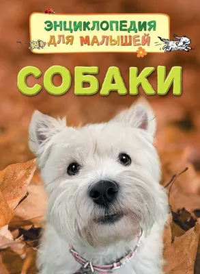 Книга «Большая иллюстрированная энциклопедия «Собаки» купить в Минске:  недорого, в рассрочку в интернет-магазине Емолл бай