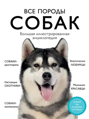 Все породы собак. Большая иллюстрированная энциклопедия (Галина Сула) -  купить книгу с доставкой в интернет-магазине «Читай-город». ISBN:  978-5-04-113062-6