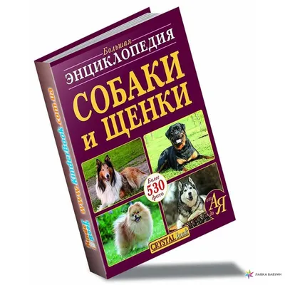 Книга Собаки Иллюстрированная энциклопедия Адинцова Ю., Рудницкая Л. -  купить, читать онлайн отзывы и рецензии | ISBN 978-5-699-52252-1 | Эксмо