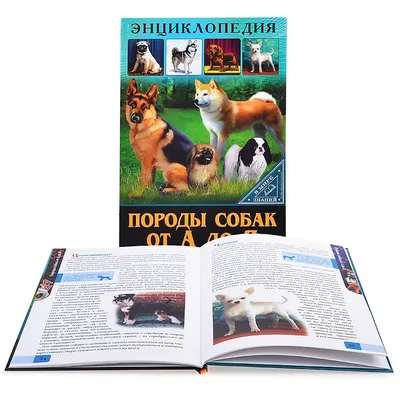 Большая энциклопедия. Собаки — купить в Эстонии | Доставка по Европе