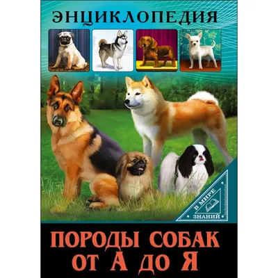 Книга Все породы собак. Большая иллюстрированная энциклопедия - купить  книги о животных в интернет-магазинах, цены на Мегамаркет |