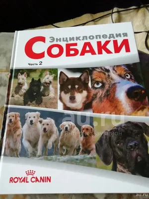 Энциклопедия: Собаки (часть 2) — купить в Красноярске. Состояние: Новое.  Энциклопедии на интернет-аукционе Au.ru