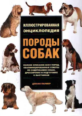 Собаки. Энциклопедия дошкольника - Vilki Books