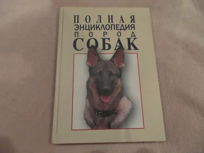 Книга Эксмо Все породы собак Большая иллюстрированная энциклопедия купить  по цене 2325 ₽ в интернет-магазине Детский мир