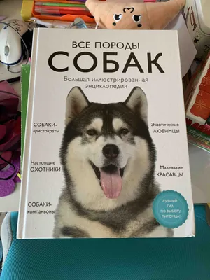 Книга Все породы собак. Большая иллюстрированная энциклопедия - купить  книги о животных в интернет-магазинах, цены на Мегамаркет |