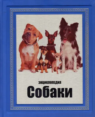 Купить Энциклопедия для детского сада Собаки и щенки недорого в магазине  игрушек \"Маленькая умница\"