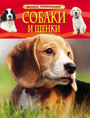 Отзывы о книге «Собаки. Самая полная энциклопедия», рецензии на книгу  Владимира Круковера, рейтинг в библиотеке Литрес