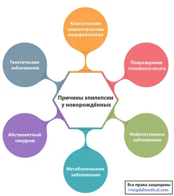 ЭЭГ. Эпилепсия | Электроэнцефалография | Дзен