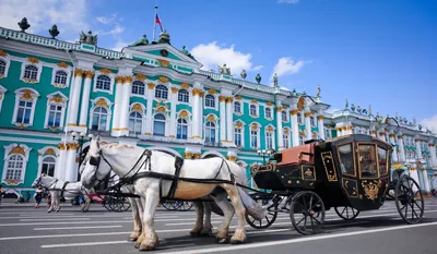 Эрмитаж и Пушкинский музей представят совместную выставку - РИА Новости,  19.10.2022