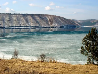 Бизнес-объект купить, Ерши. Бизнес-объект Ерши куплю, Бизнес-объект Ерши  продажа