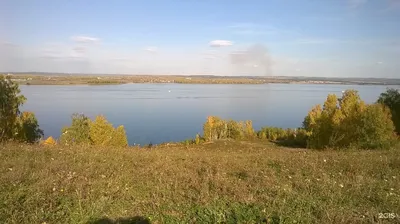 Медведь на заливе Якоби? В Иркутске наткнулись на след животного - что  говорят специалисты - KP.RU