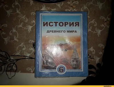 Это Спарта: как жило и воевало самое странное государство Древней Эллады |  Вокруг Света