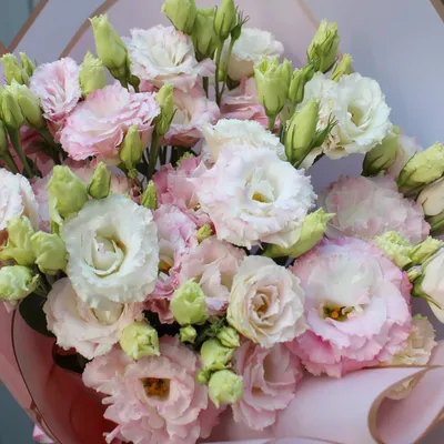 Buy Bouquet of eustoma \"Lavender field\" with delivery in the city of Dnipro  | Royal-Flowers.dp.ua