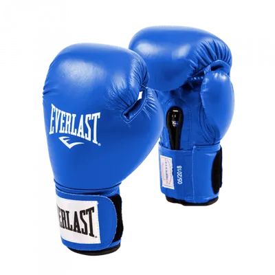 Training Gloves - Core 2, Everlast - DragonSports.eu