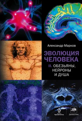 Эволюция человека будущего иллюстрация…» — создано в Шедевруме