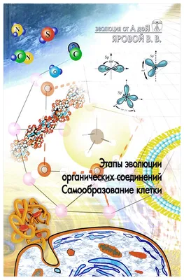 Настольная игра \"Эволюция. Подарочный набор\" Правильные игры 909121 купить  в интернет-магазине Wildberries