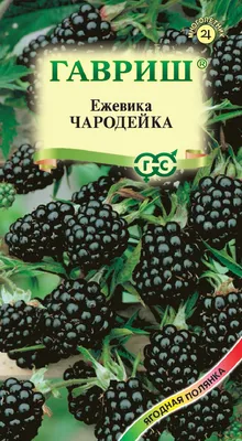 Ежевика дикорастущая быстрозамороженная, 500г, купить с доставкой по Москве  и области: по цене 230 ₽ за 500 г.