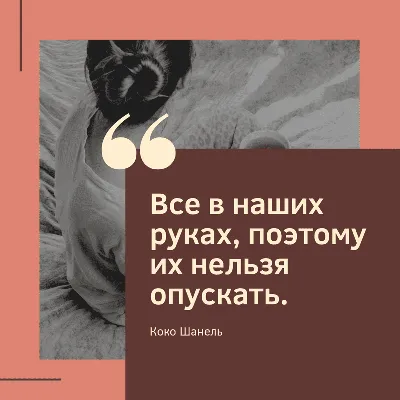 https://dzen.ru/b/ZeYSaRGQgSPtajWf