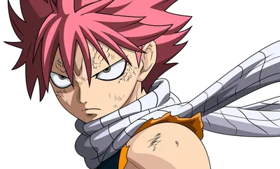 How to watch Fairy Tail in order, fillers to avoid, and more