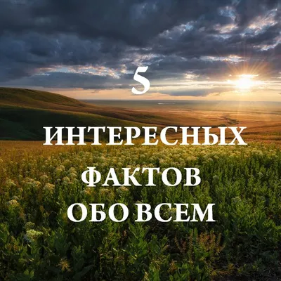 5 интересных фактов о жизни человека – Степные вести