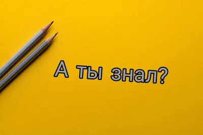 Топ 40 забавных фактов | Интересные Факты | Дзен