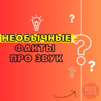 Библиотечный фонд страны: интересные факты | Новости Беларуси|БелТА