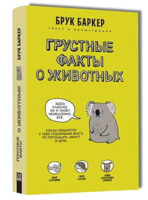 Группы крови человека - важные факты об особенностях | Новости РБК Украина