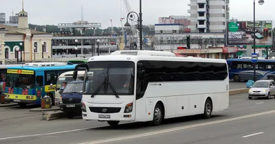 Большой и быстрый заработок в Владивостоке