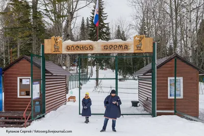 Отзыв о Ферма \"Экзархо\" (Россия, Сочи) | Малоизвестная Каппадокия в Сочи