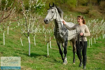 Атмосфера террасы Шале💕 Самое время бронировать стол: ☎️+7 (928) 452-38-82  🏔️Склон Лаура, Плато Псехако 🎿Открыты для вас с 10:00 до 23:00 | Instagram