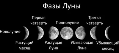 Фаза Луны может помочь найти родственную душу в тиктоке - все о новом  тренде соцсети - Men