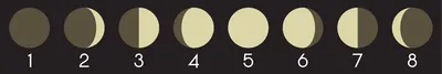 Фазы Луны - Как Видно Из Северного И Южного Полушарий Планеты Земля В  Сравнении. Клипарты, SVG, векторы, и Набор Иллюстраций Без Оплаты  Отчислений. Image 80629604