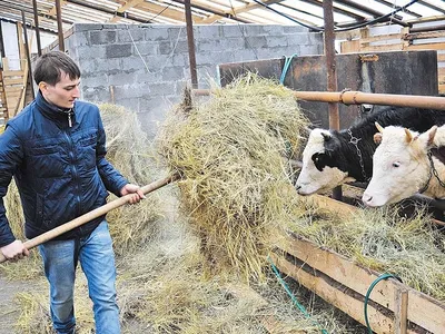 Купить гербицид Фермер, цена за 1л в Украине