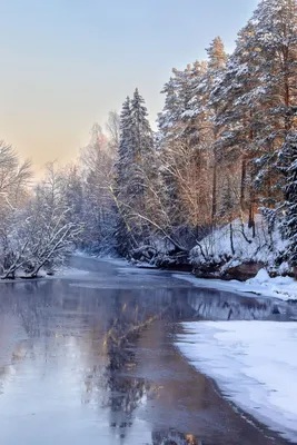 Февраль. Фотограф Игнатьев Александр