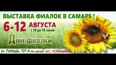 Сироп Royal Cane фиалка, 1л - купить с доставкой в Самаре в Перекрёстке