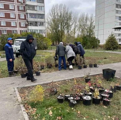 В преддверии Года самбо. Знакомимся с городской федерацией и подводим итоги  года Улпресса - все новости Ульяновска