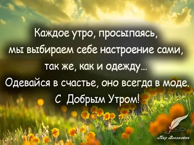 Пожелания с добрым утром красивые прикольно философские - 68 фото