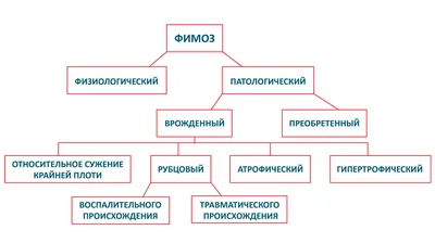 Призыв в армию при фимозе. Разбираем детали! | Помощь призывникам, коллегия  адвокатов Призывник | Дзен