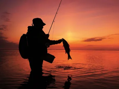 Fishing the Bay - On The Water