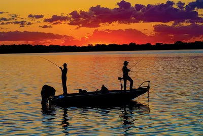 85 Fishing Quotes That'll Make You Want To Cast A Rod