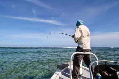 How to Catch Bass | Easy Bass Fishing Tips - Wired2Fish