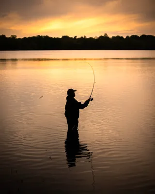 Freshwater Fishing - NYSDEC