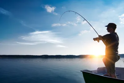 Top 10 Reasons To Go Fishing | Pure Leisure Blog